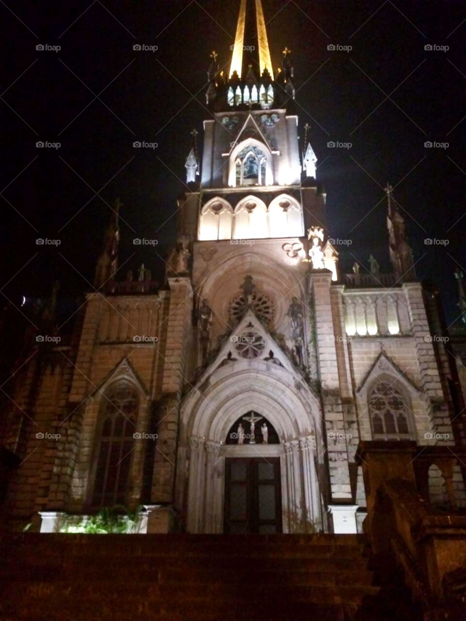 Cathedral Sao Pedro de Alcantara - Petropolis - Rio - Brazil