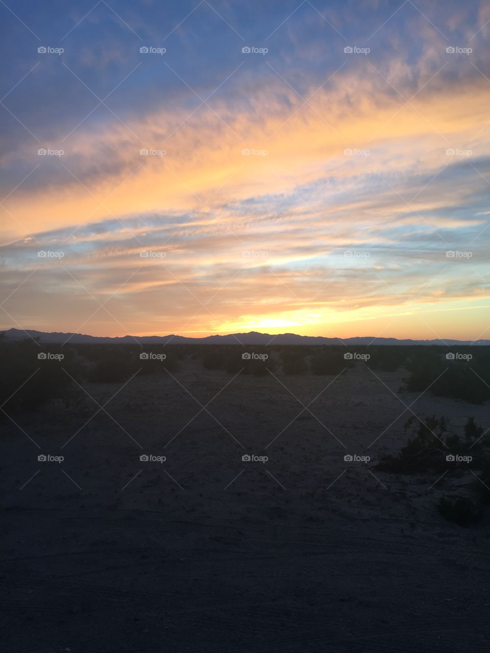 Desert sunset 