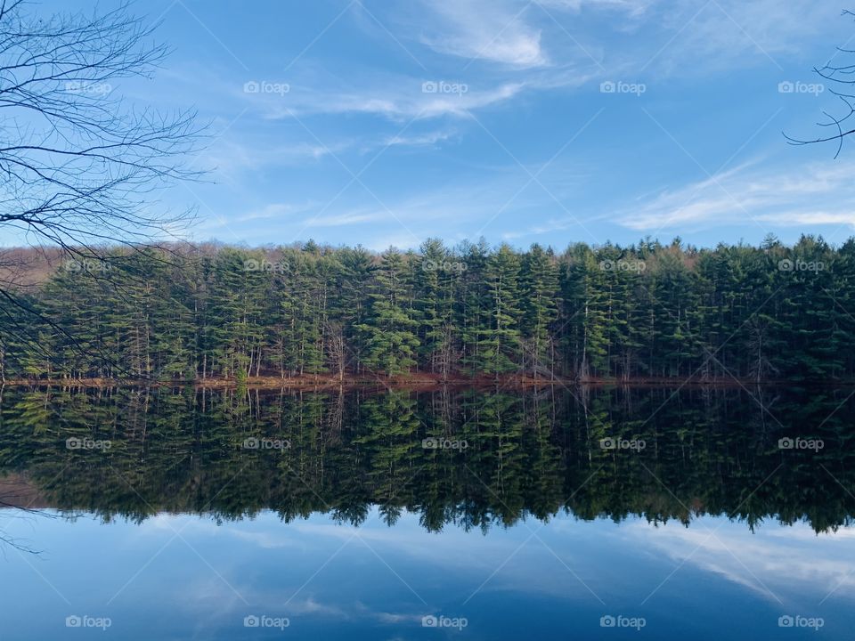 Google photos forest reflecting on glacial lake New York