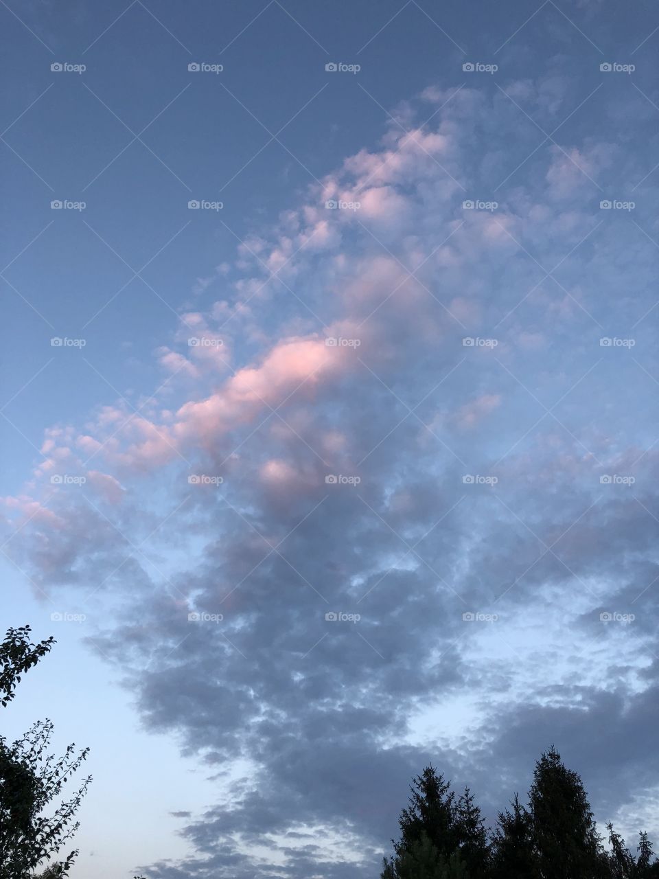 Evening clouds 
