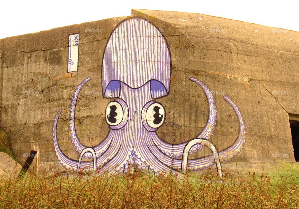 Octopus