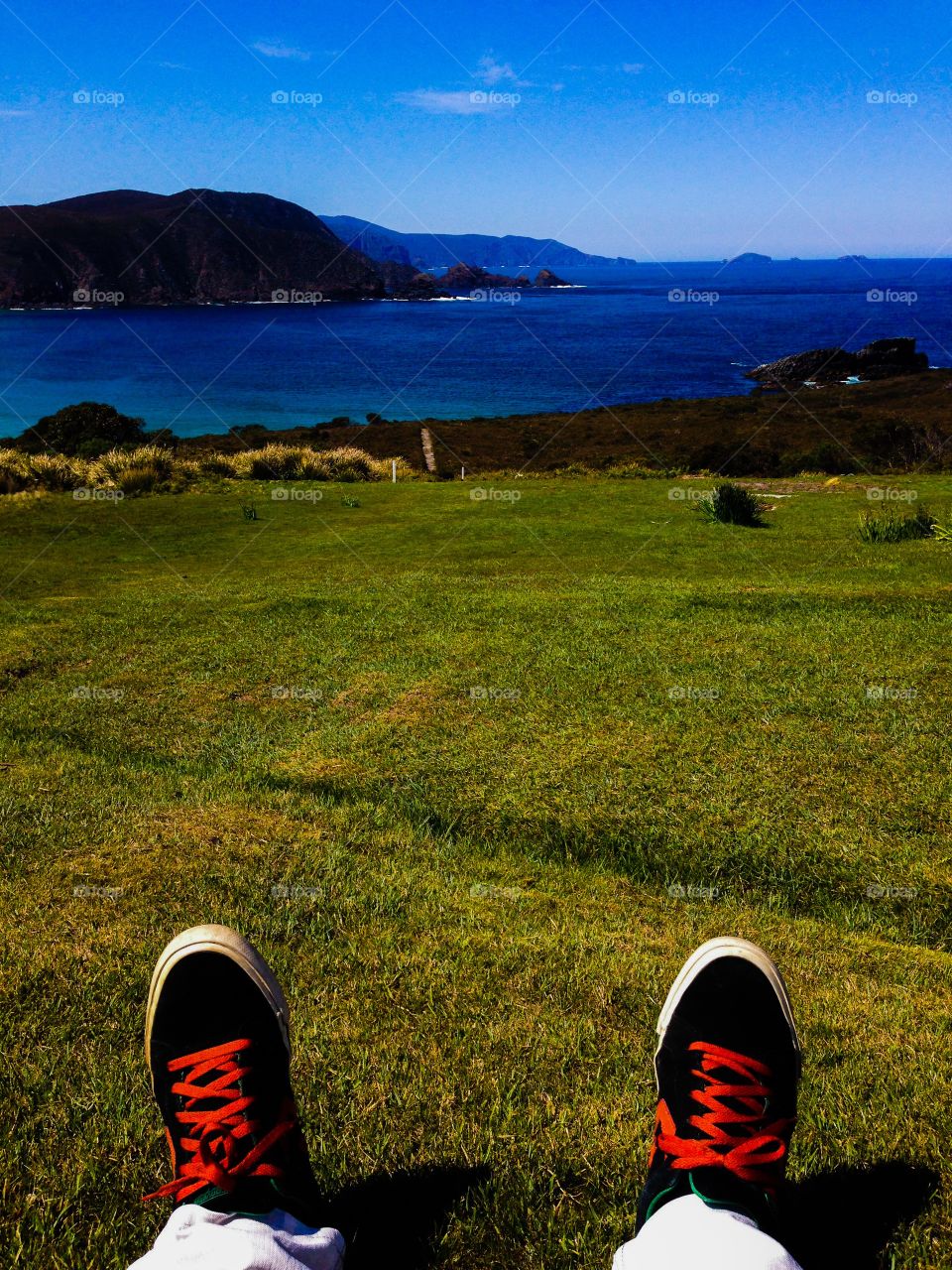 Rilex. Sitting on a grass field viewing the sea