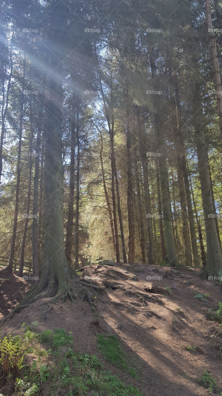 morning in osmotherley