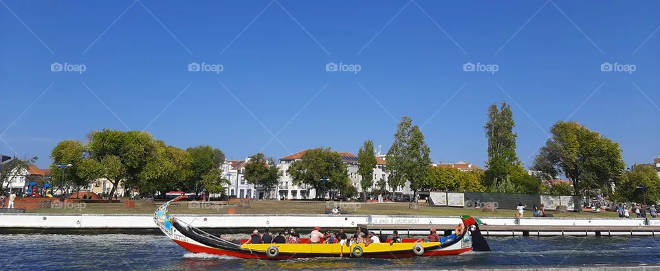 Moliceiro,  Aveiro, Portugal