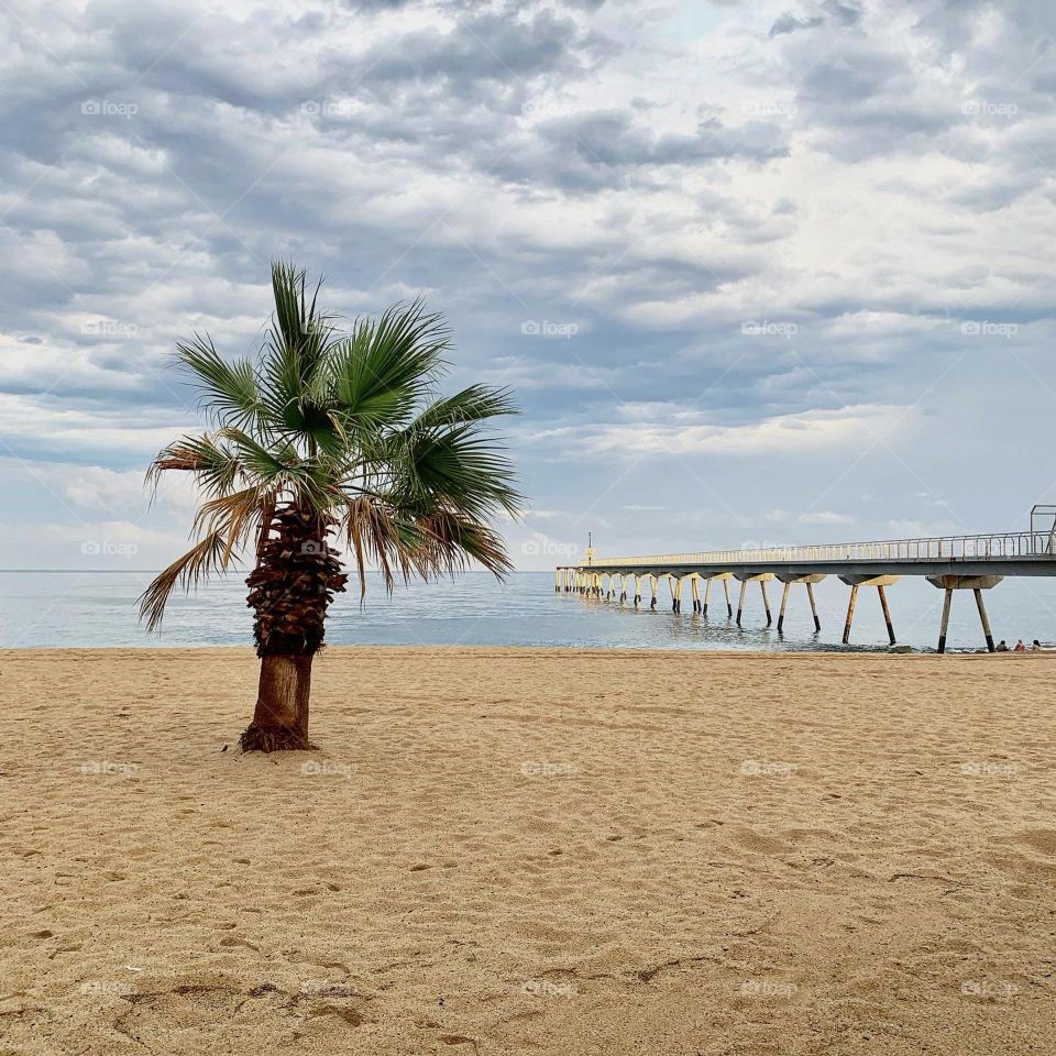 Cloudy beach