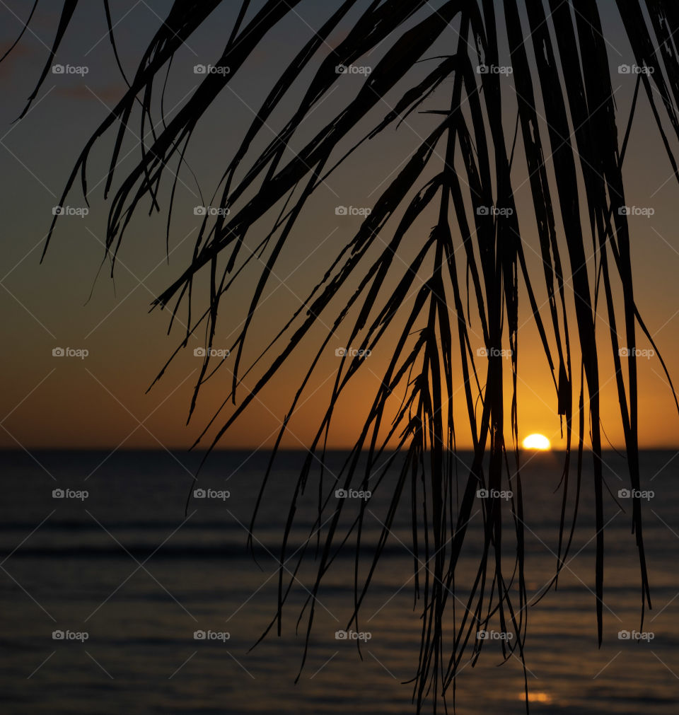 Sunset and Palm, Tumon Bay, Guam