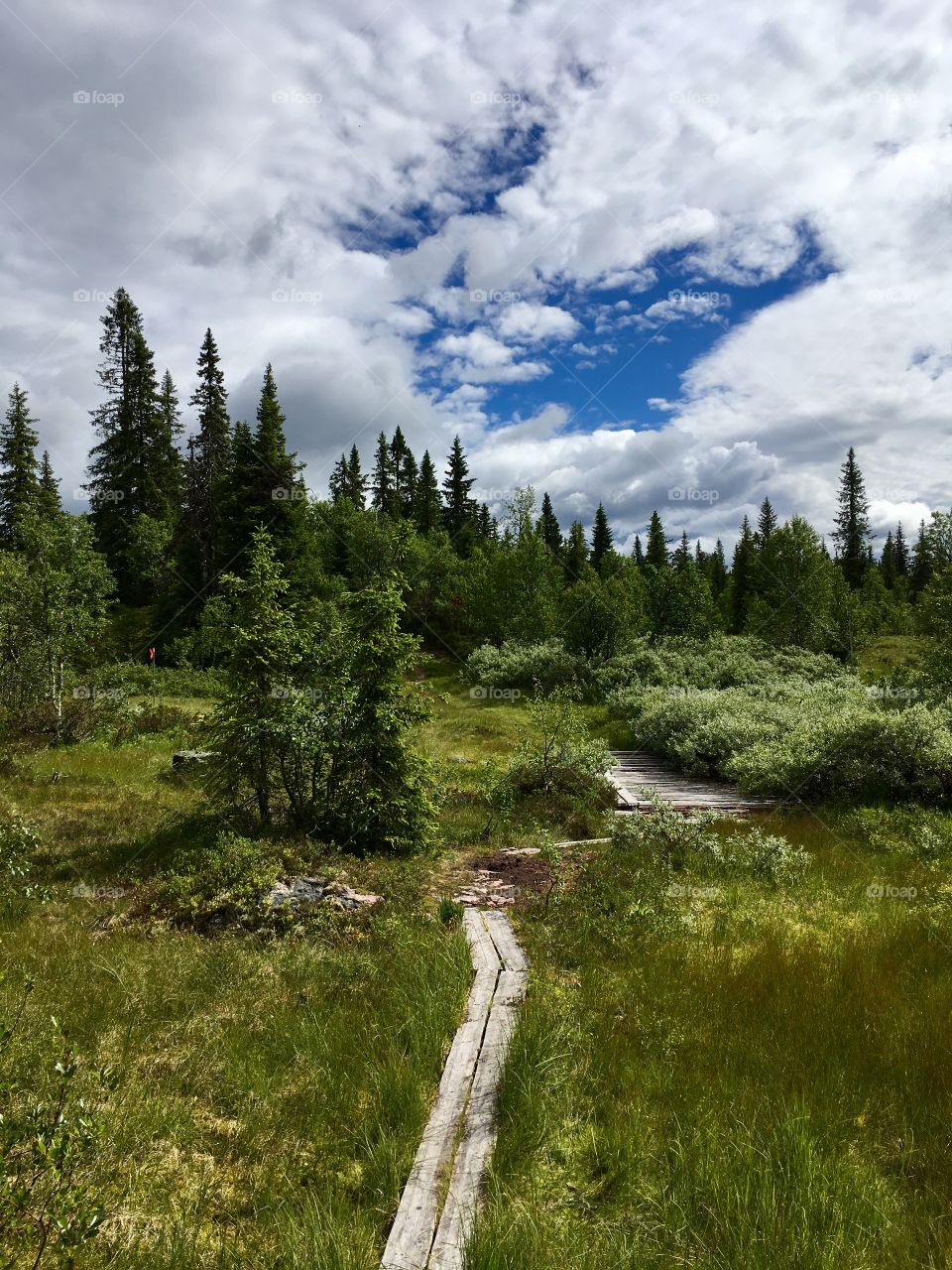 Hiking in Sälen, Sweden.