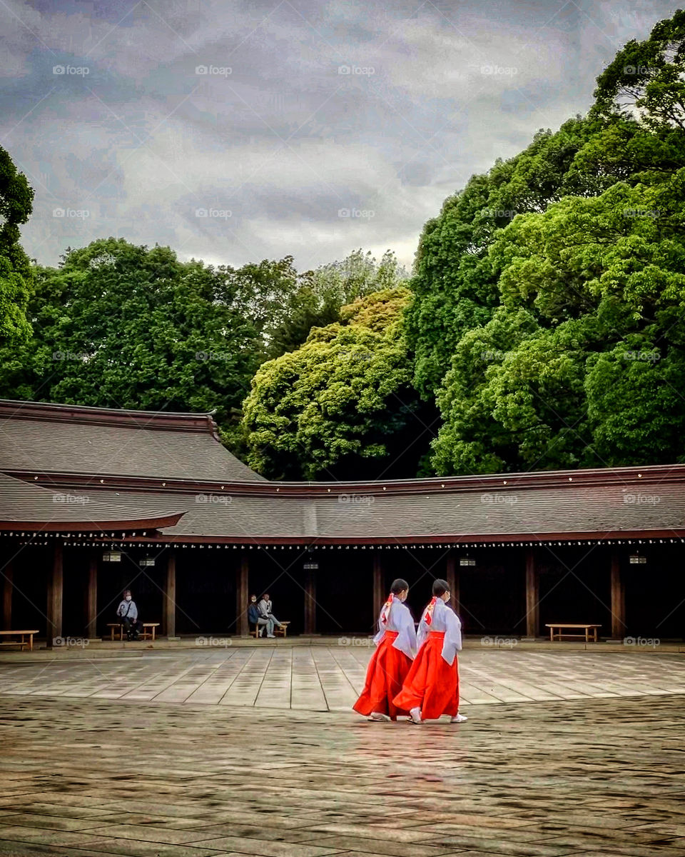 Shine maidens (miko-san) in bright red traditional clothing (hakama) walling across the spacious courtyard of Meiji Jingu shrine, surrounded by green trees and a moody sky above.