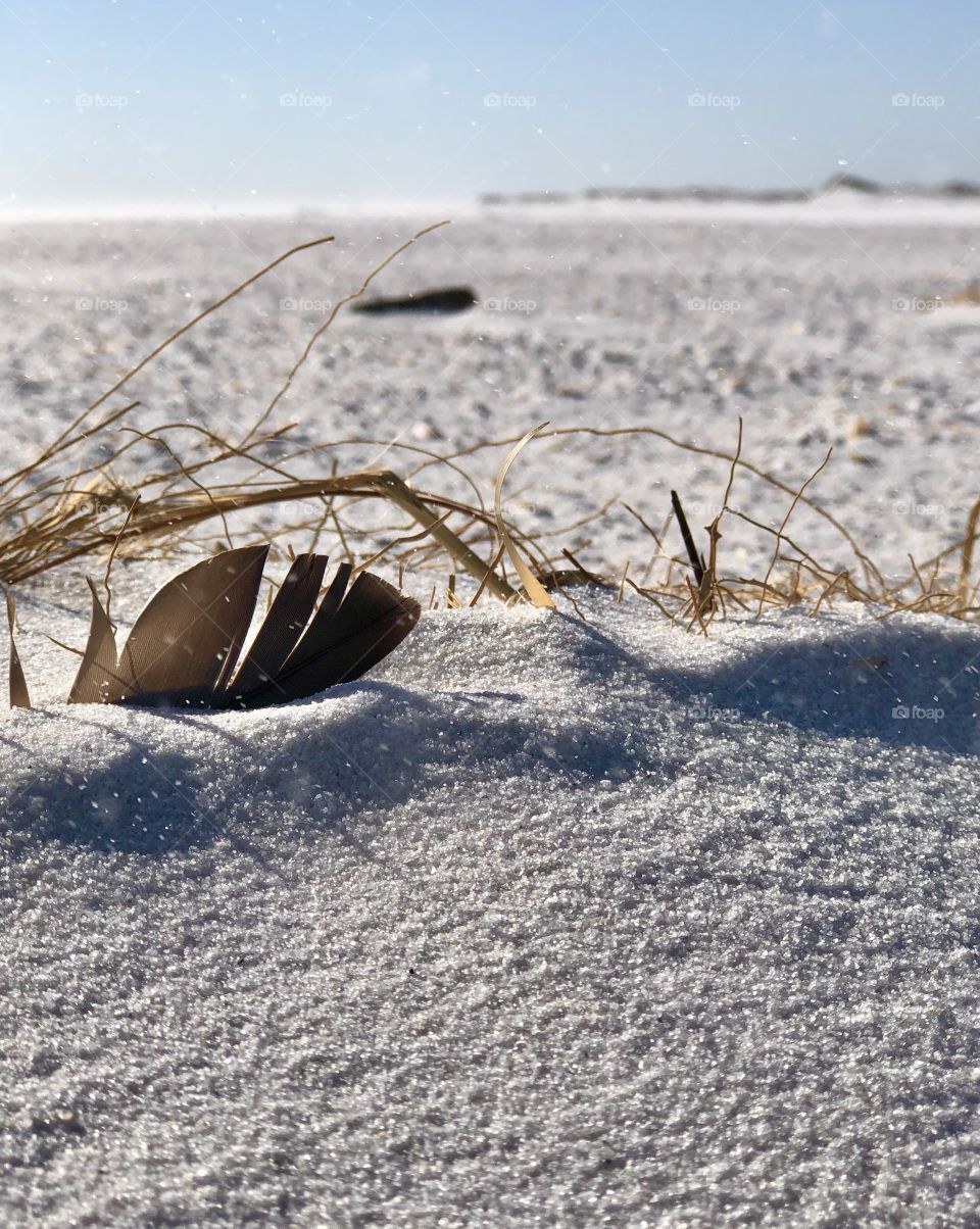 Strong coastal winds blowing grains of sand like snow across beach