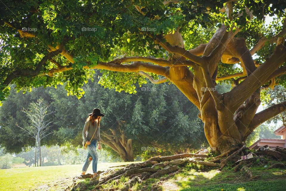 Woman Walking Under Green Tree