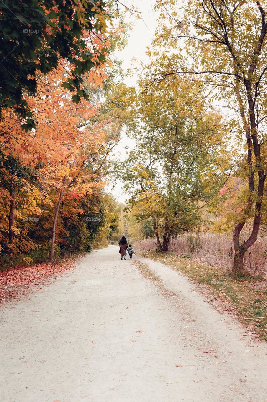 autumn walks in the park with beautiful fall colors