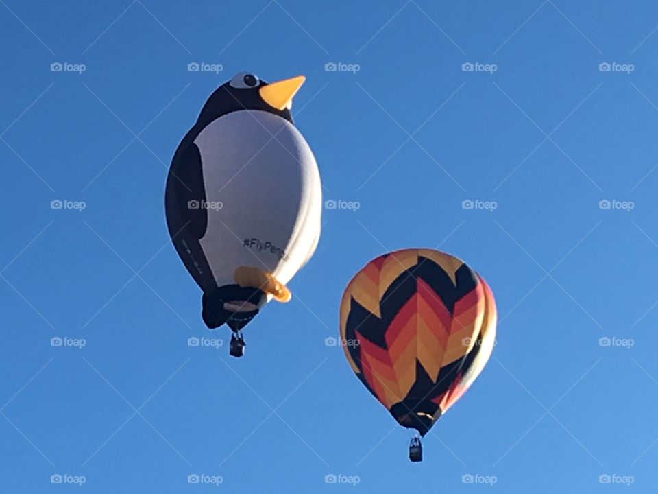 Early Morning Penguin Hot Air Balloons