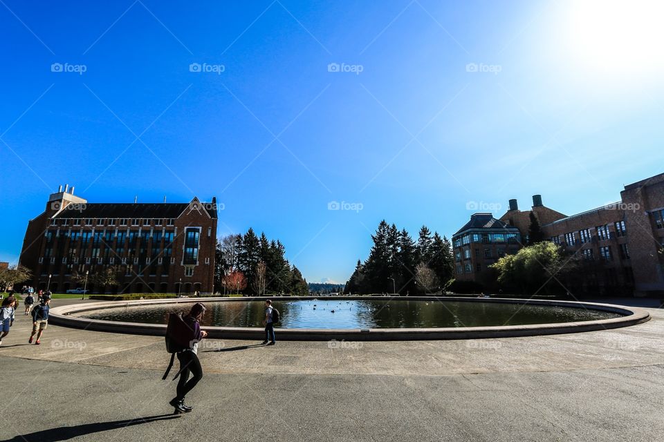 Fountain in university of Washington 