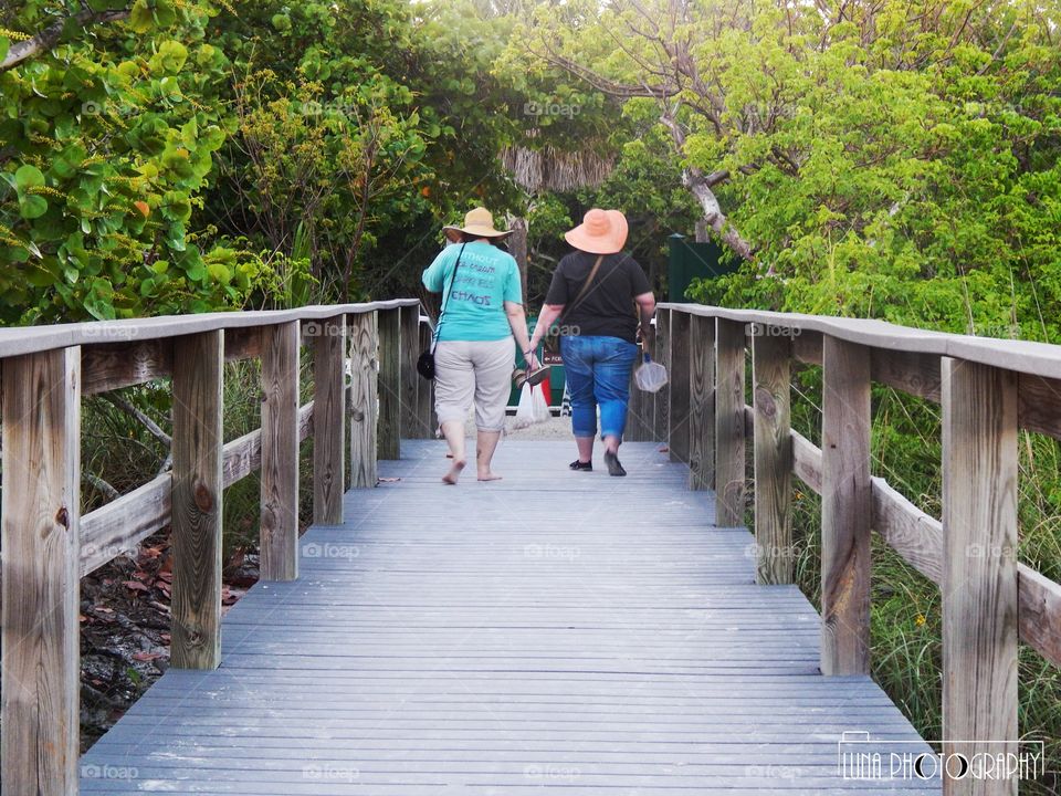 Boardwalk walks