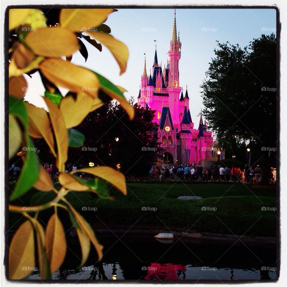 Disneyland Magic Castle
