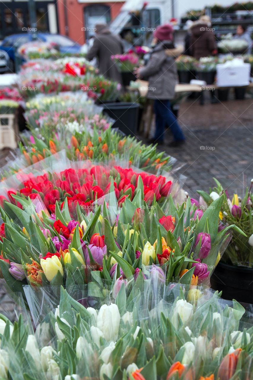 Tulips for sale on market place