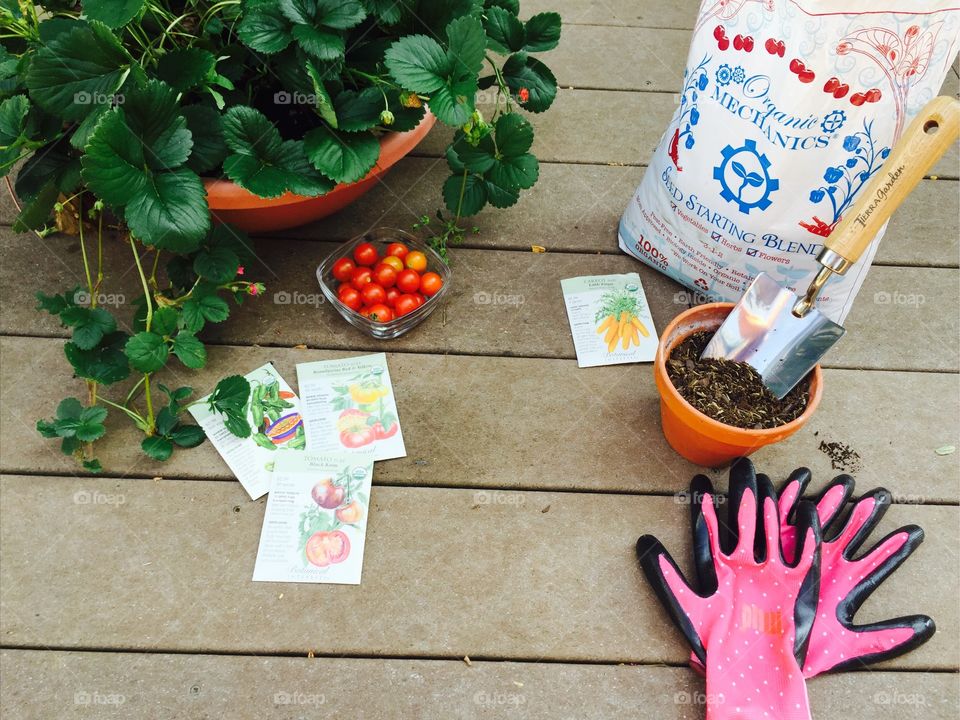 Home gardening with organic soul, seeds, and gardening tools