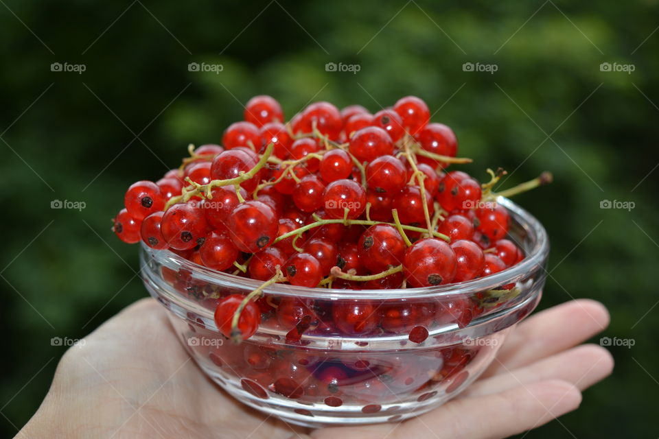 red berries summer food on a plate in the hand green background