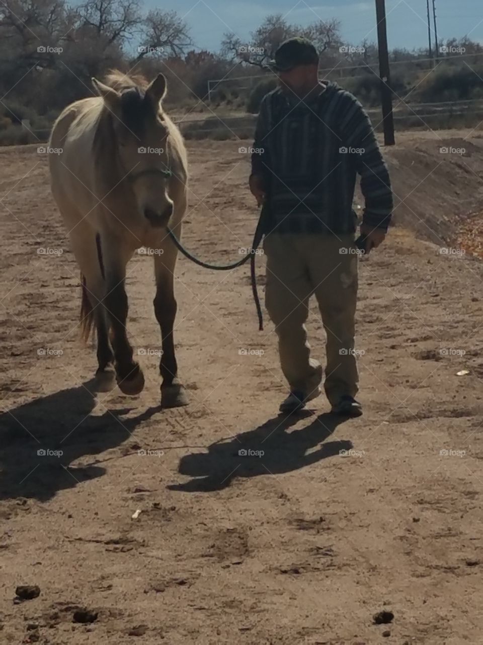 A man and his horse