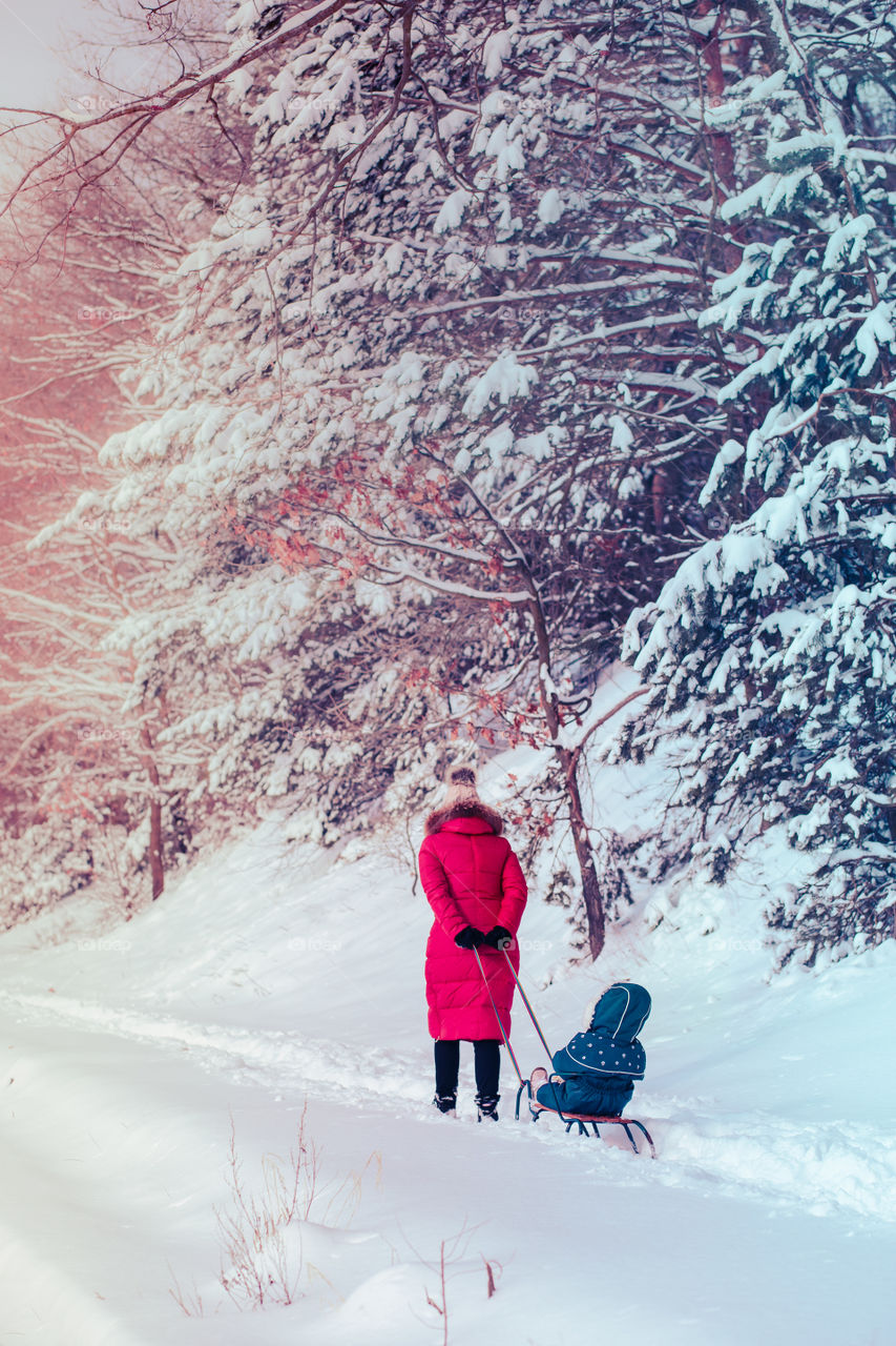 Mother and her little daughter are spending time together walking outdoors in forest in winter while snow falling. Woman is pulling sled, a few years old girl is walking through the deep snow, enjoying wintertime