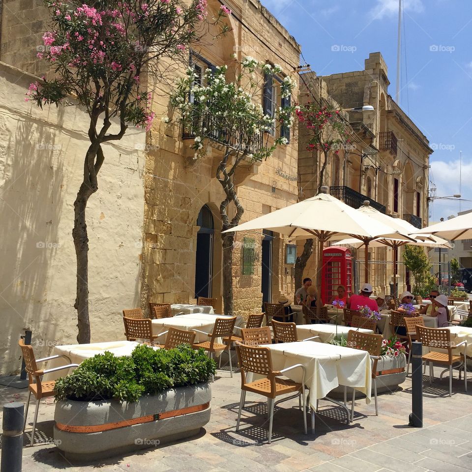 Beautiful Café located on Gozo Island, Malta. These beautifully coloured flowers are easy to spot throughout Malta and Gozo due to their contrast against the stunning beige architecture! 