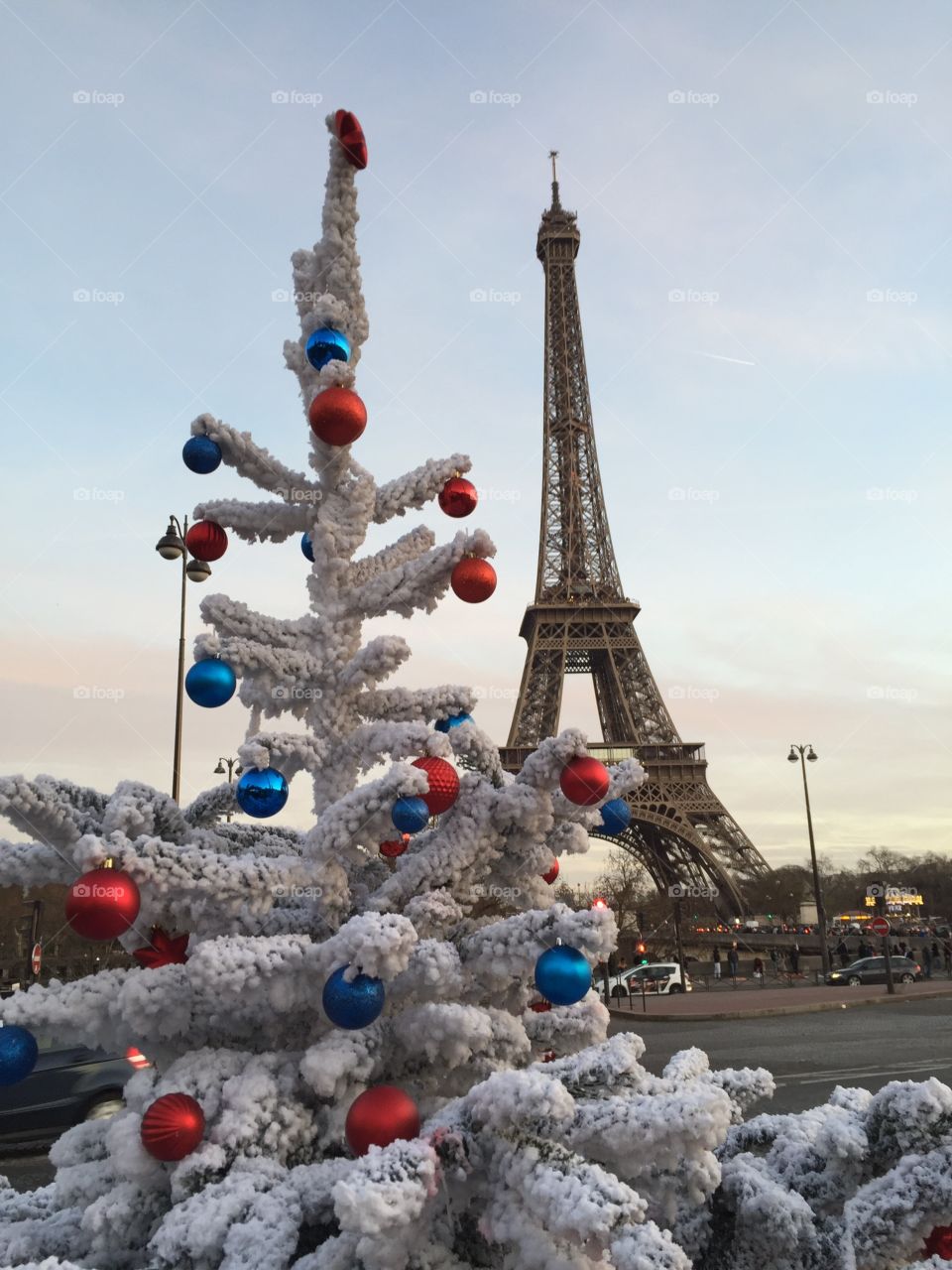 Torre eiffel and the christmans tree