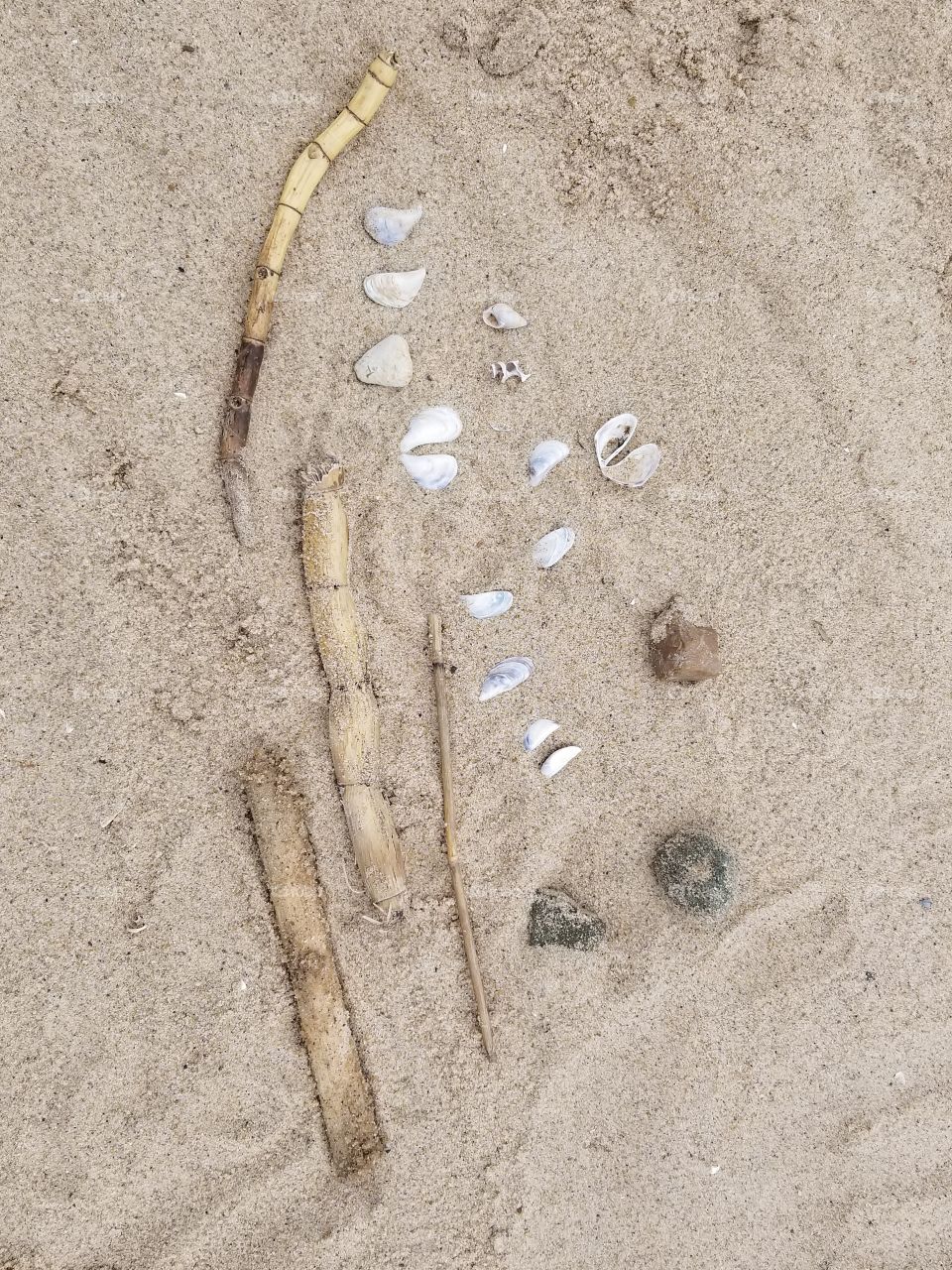 Beach finds