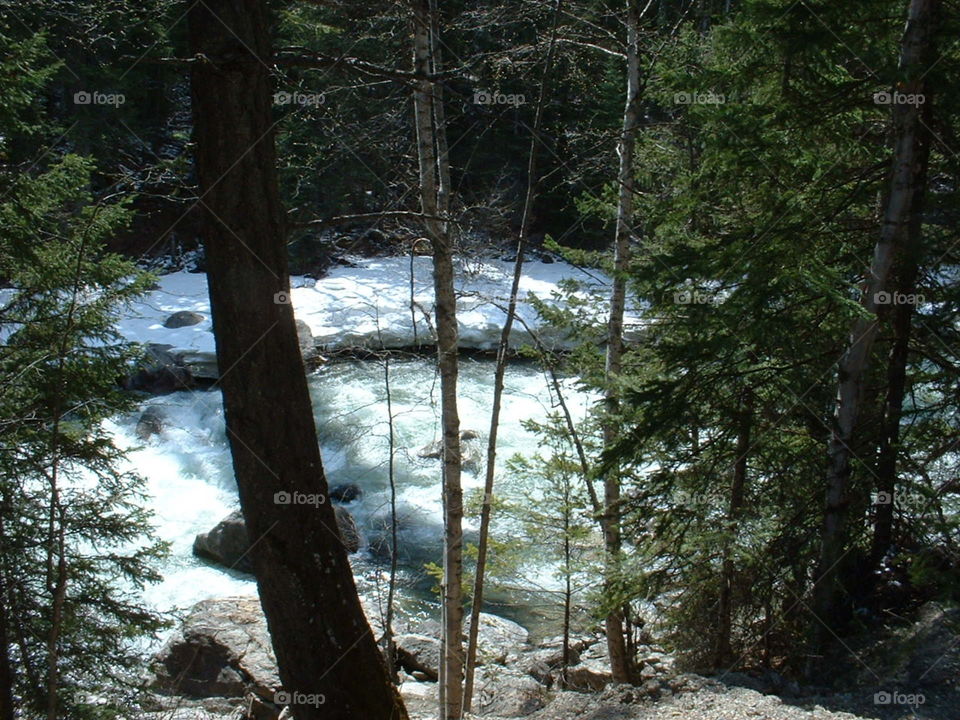 Little rapids in the Rocky Mountains, British Columbia