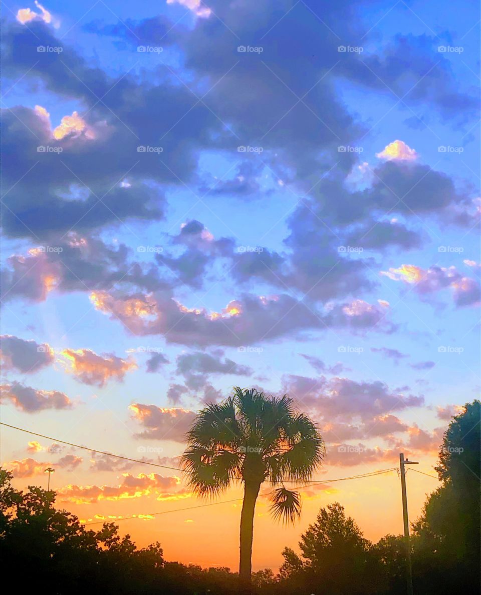 Summer sunset in Florida 