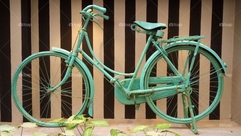 Vintage Cycle of the