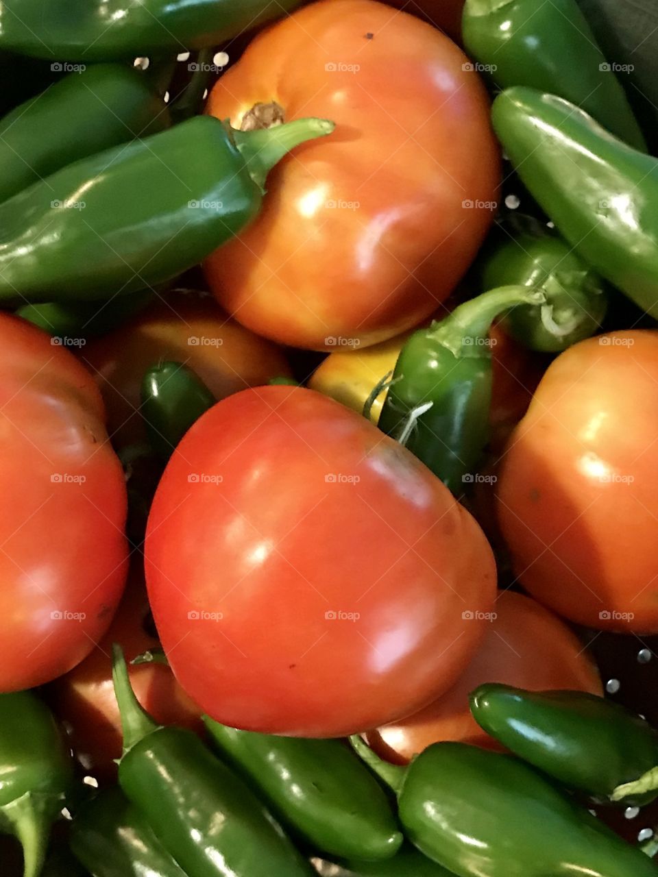 Fresh tomatoes and jalapeños from my garden