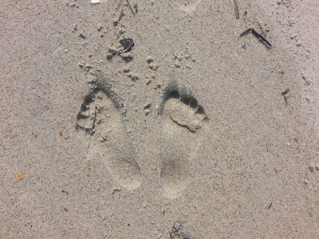 baby feet
