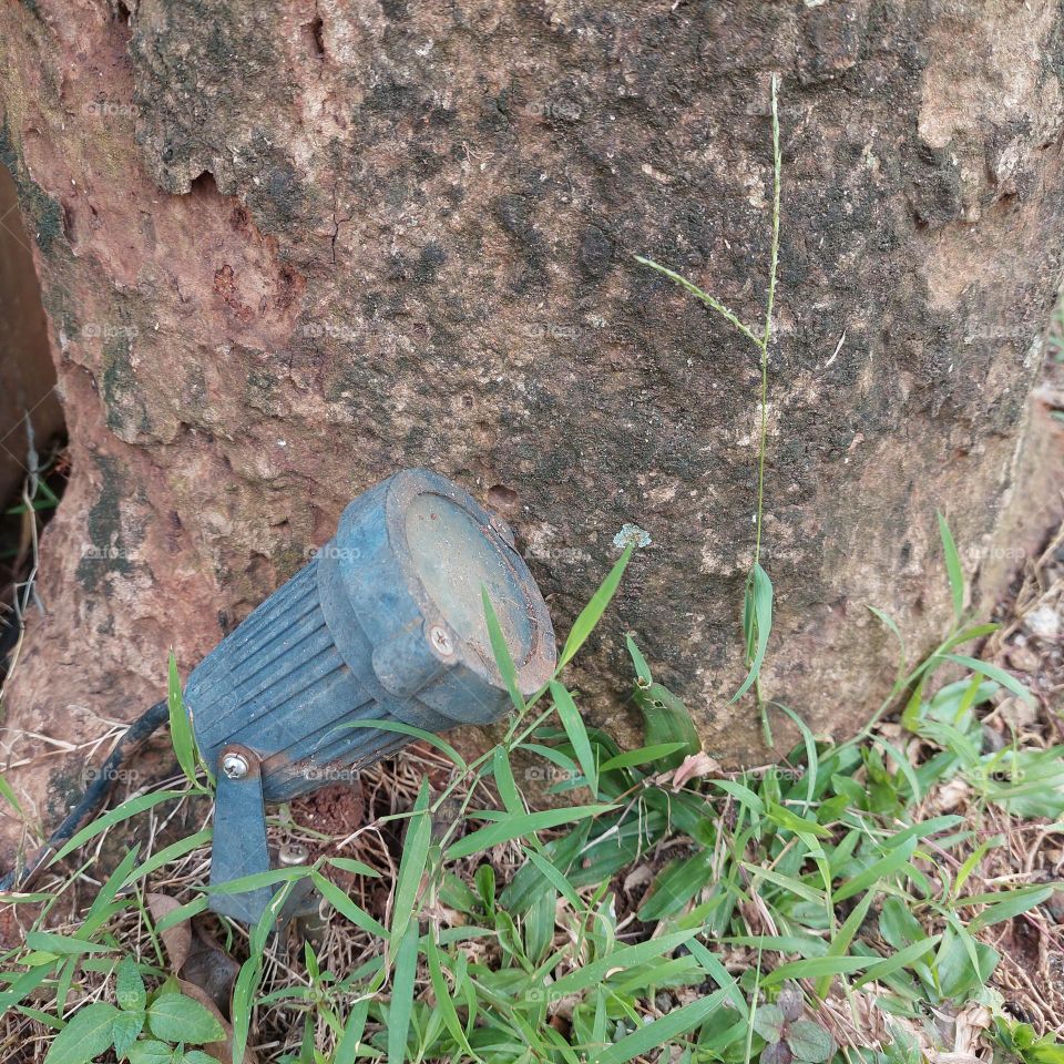 garden lights mounted on tree trunks