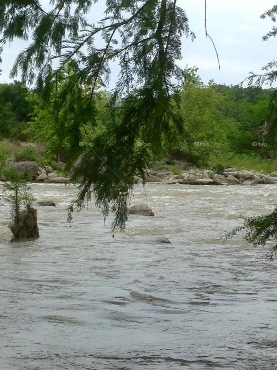 Guadalupe river state park
