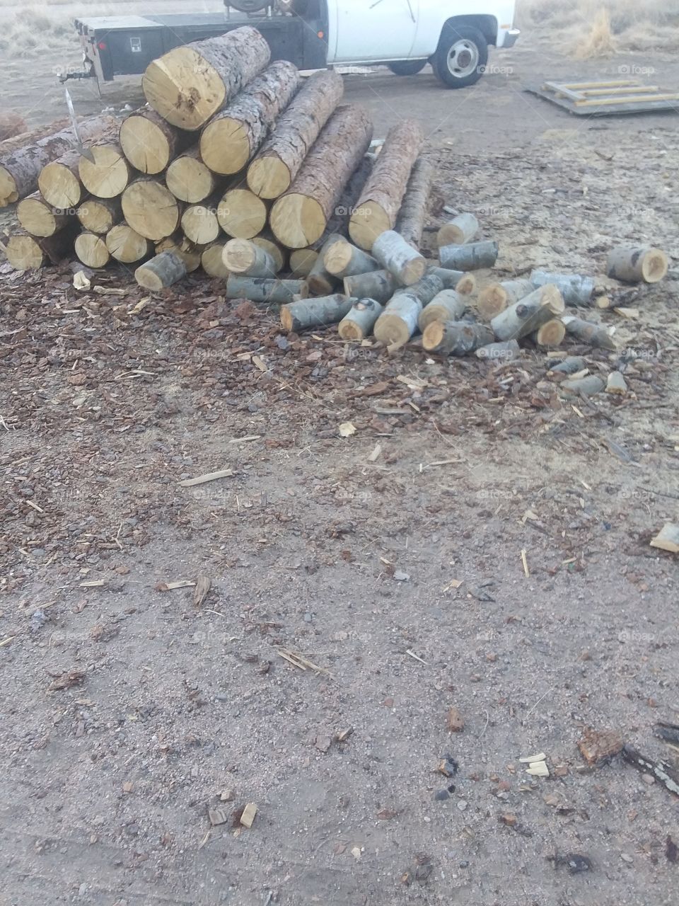 Wood pile .