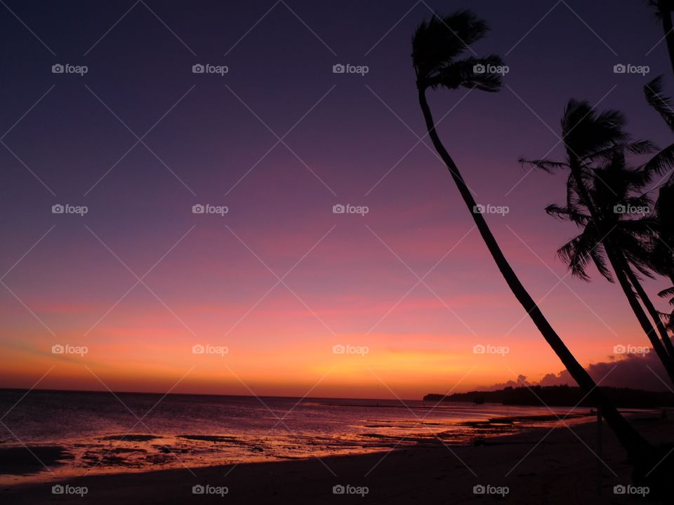 Silhouette palm trees on beach at sunset