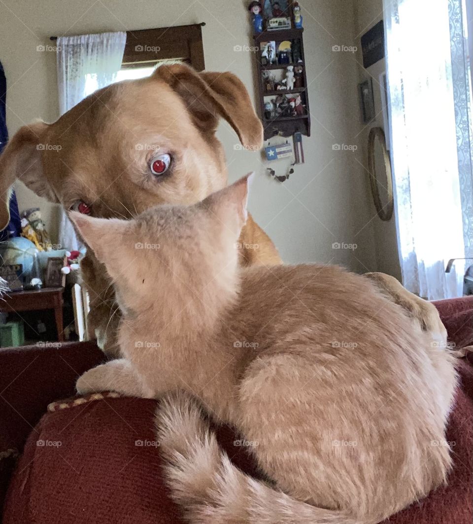 Hello I don’t think that we’ve meet