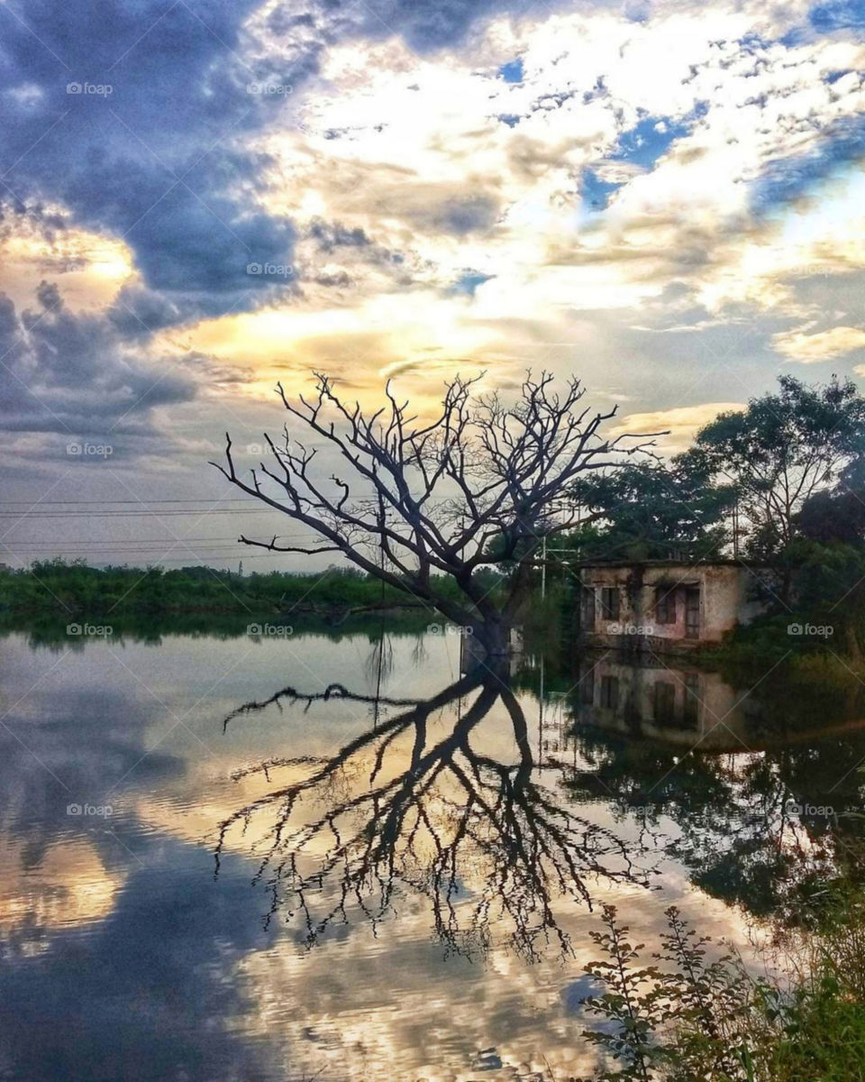 Nature portrait reflection image