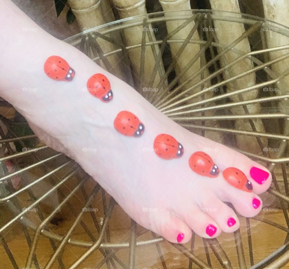 The lady and the ladybug