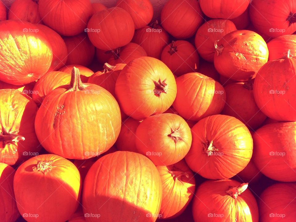Pumpkins 