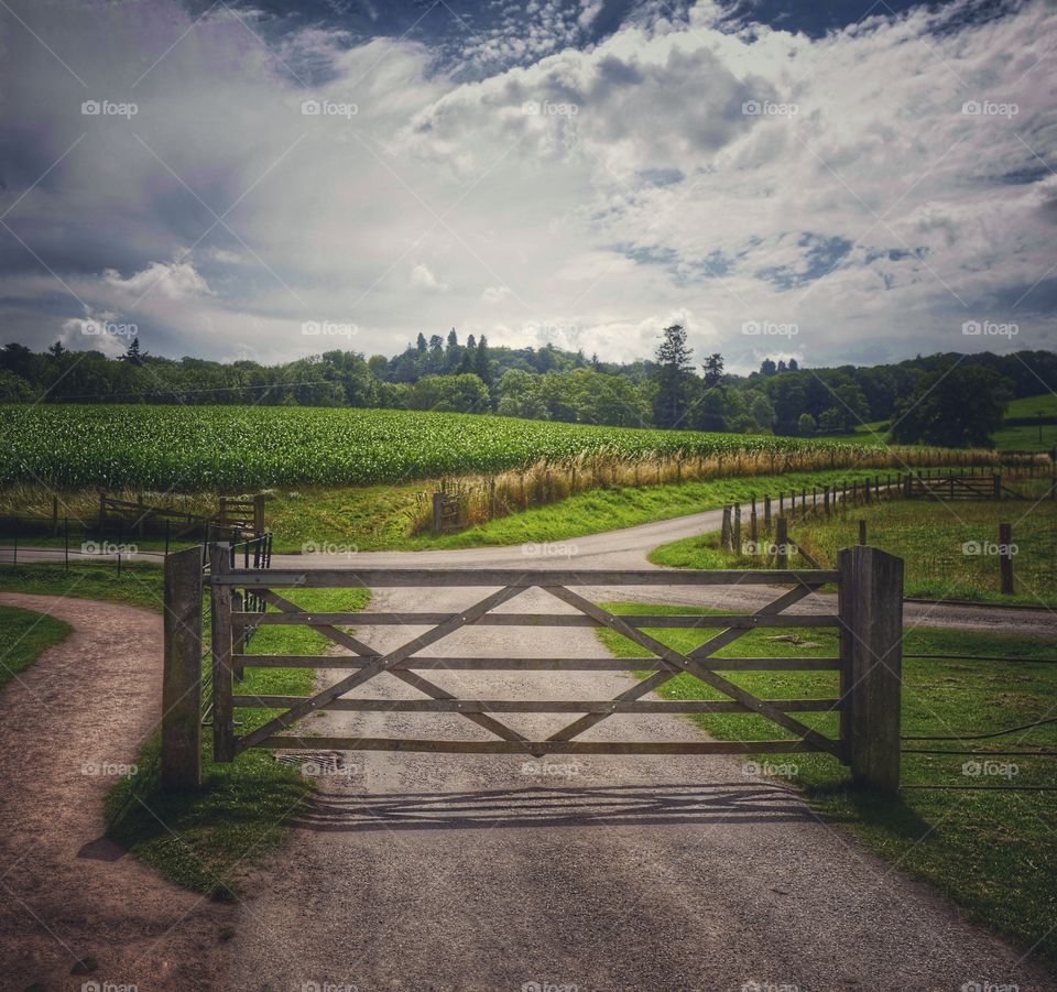 Gate. Countryside 