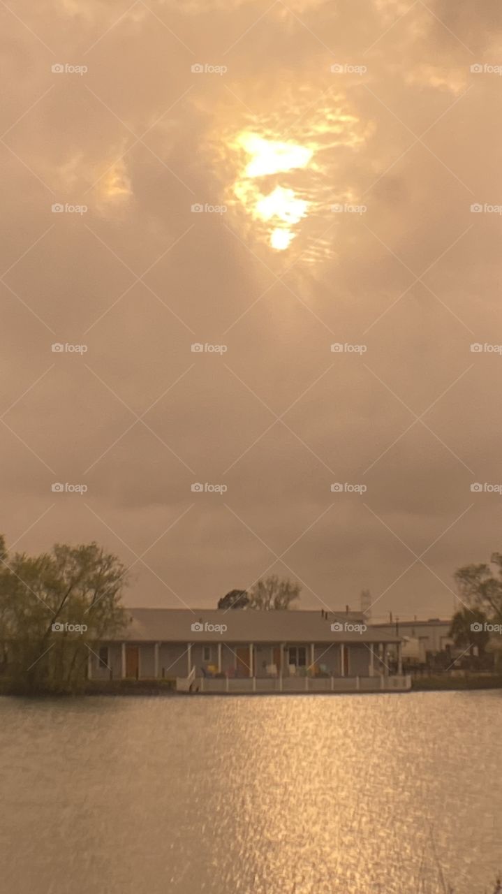 Well well looking here we have us a face in the sun today and this guy is wearing shades. It’s good to have them in direct sunlight.