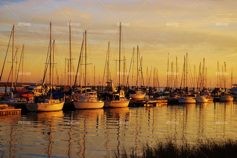 Sail boats at sunset