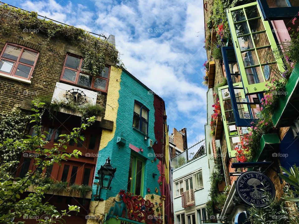 Neals Yard London Urban floral display  🇬🇧