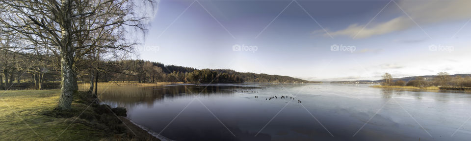 panoramic view of the lake and forest. nature photography at its best