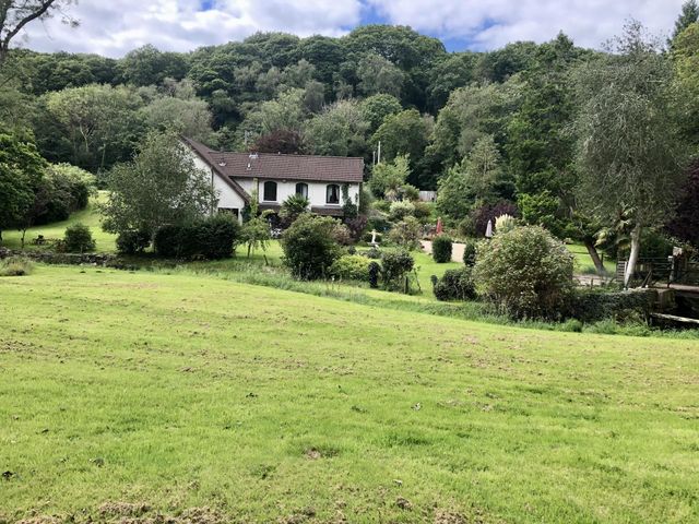 Country side 