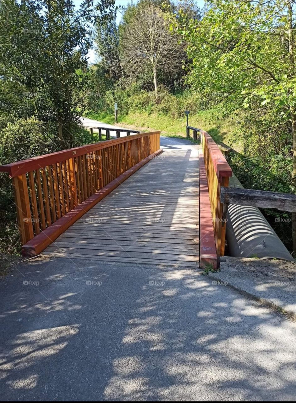 Bridge over the Pilón river