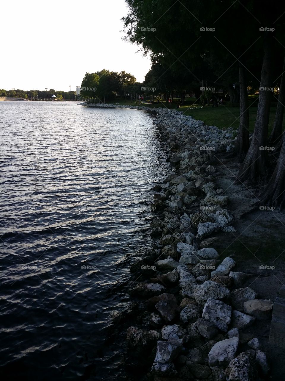Rocks By The Lake. Took this at Cranes Roost in Altamonte Springs Florida. 