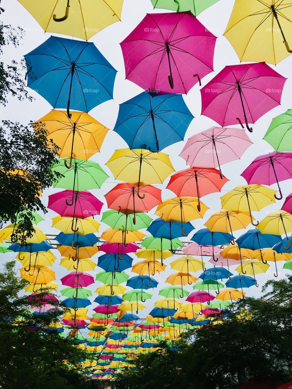 Umbrella Art Installation 
