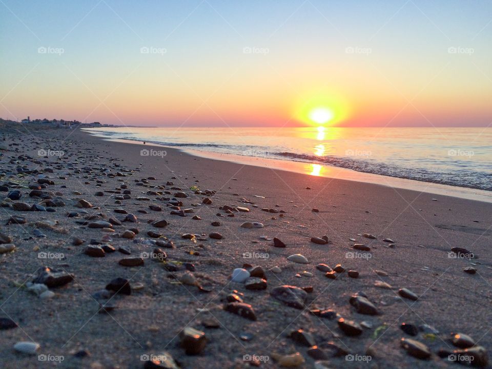 Shells and stones on a beach at sunrise